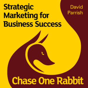 Chase One Rabbit. Marketing Audiobook cover
