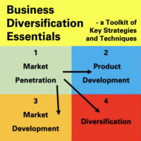 Business Diversification Essentials - a Toolkit of Key Strategies and Techniques